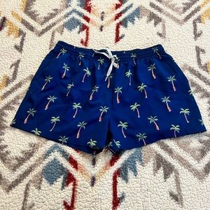 Chubbies Swim Trunks 4”